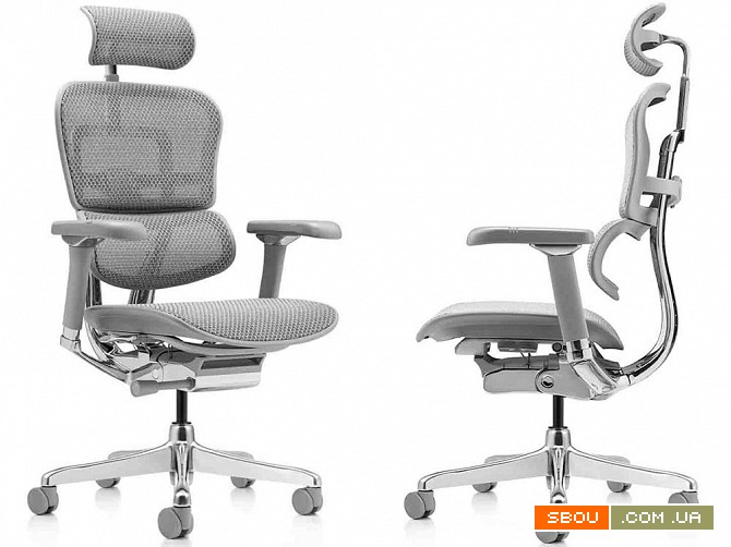 Качественное кресло компьютерное Ergohuman Luxury 2 серого цвета Киев - изображение 1