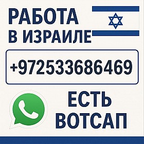 Работа в Израиле с визой и проживанием — от $3900 в месяц