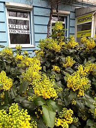 Здам приміщення в оренду