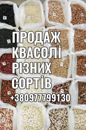 Квасоля Біла кругла, Шоколадниця, Солдатик, Ліма та ін