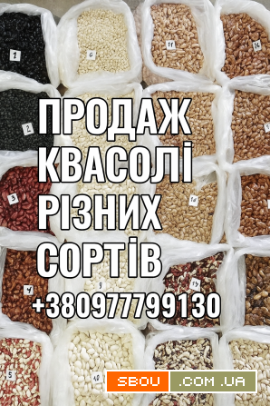 Квасоля Біла кругла, Шоколадниця, Солдатик, Ліма та ін Одеса - изображение 1