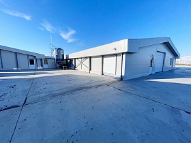 Свиноферма 1400 голів у Румун