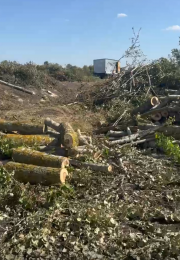 Потрібні співробітники або бригади на розчистку лісу