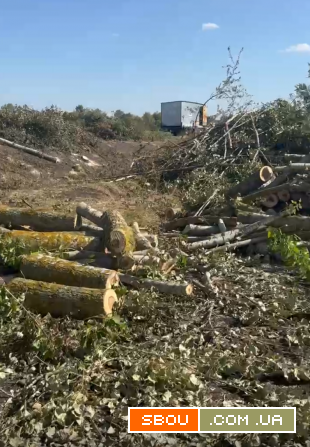 Потрібні співробітники або бригади на розчистку лісу Фастов - изображение 1