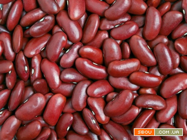 Квасоля в асортименті Сумы - изображение 1