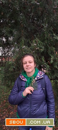 Люблю животных Киев - изображение 1