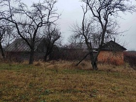 Дом в с.Заболотье, Шосткинский район