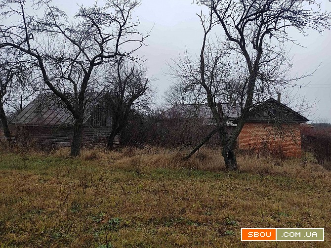 Дом в с.Заболотье, Шосткинский район Шостка - изображение 1