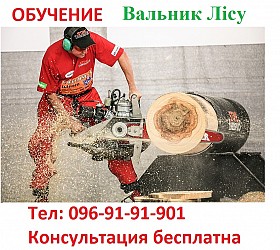 Удостоверение вальщика леса