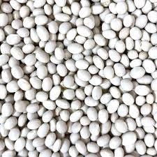 Продаж насіння квасолі. Посівний матеріал квасолі.