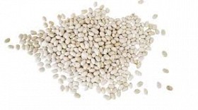 Закуповуємо квасолю для переробки