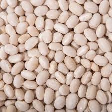 Продаємо насіння квасолі з гарантією викупу врожаю