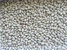 Купуємо квасолю дрібним та крупним оптом