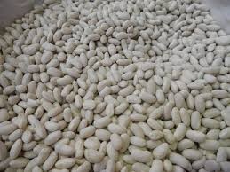 Посівма квасолі. Форвардні контракти. Гарантований викуп врожаю.