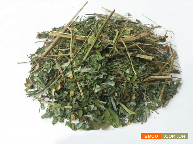 Чистотел (трава) 1 кг Житомир - изображение 1