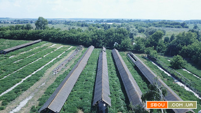 Продаж дійсного прибуткового бізнесу з усім майном Суми - изображение 1