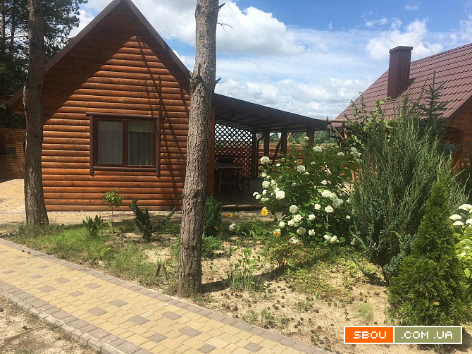 Відпочинок в дерев'яному будиночку на озері с. Соловичі Турийск - изображение 1