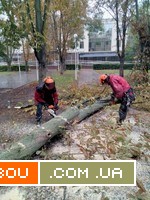 Корчевание пней. обрезка деревьев, сада, спил дерева, уборка участка О Одесса - изображение 1