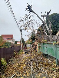 Спил дерева, демонтаж работы, земляные работы в ручную Одеса