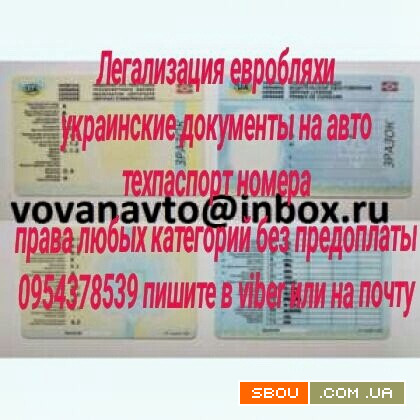 Украинские автодокументы техпаспорт номера на любой авто, права Киев - изображение 1