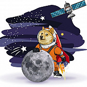 Doge-1 Launch: захватывающее путешествие со Space-X и И. Маском