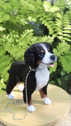 Валяна іграшка собака Бернский зенненхунд з шерсті інтерєрна пес хендм