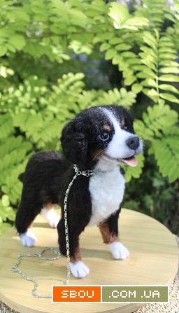 Валяна іграшка собака Бернский зенненхунд з шерсті інтерєрна пес хендм Одеса - изображение 1