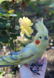 Корелла попугай валяная игрушка хендмэйд интерьерная птица сувенир