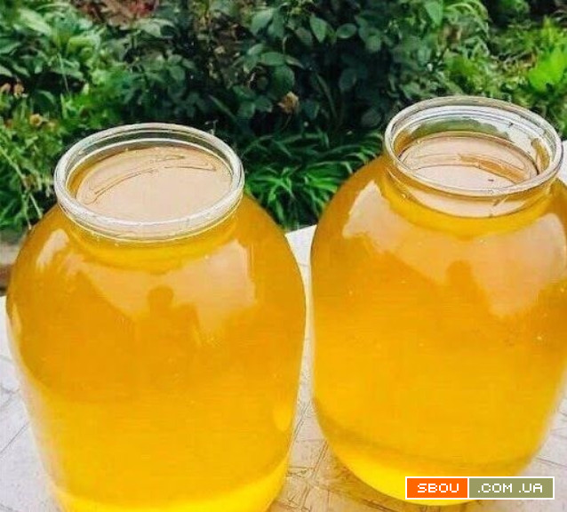Продам мёд со своей пасеки, урожай 2022 года. Разнотравье Луганск - изображение 1