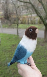 Папуга войлочний нерозлучник іграшка валяна з шерсті інтерєрний попуга