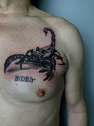 “VeAn tattoo” запрошує на татуювання та пірсинг