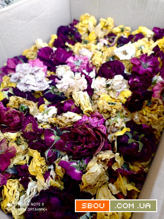Роза сухая цветки от 100 грамм Киев - изображение 1