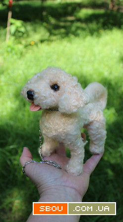 Собачка іграшка валяна мальтіпу інтерєрна собака пудель балонка мальте Одесса - изображение 1