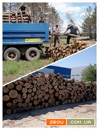 Продам дрова дубовые. Одесса - изображение 1