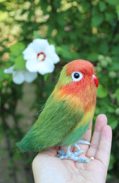 Неразлучник попугай валяна іграшка з шерсті папуга інтерєрна игрушка