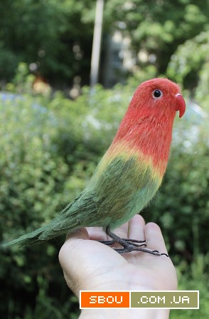 Неразлучник попугай валяна іграшка з шерсті папуга інтерєрна игрушка Одесса - изображение 1