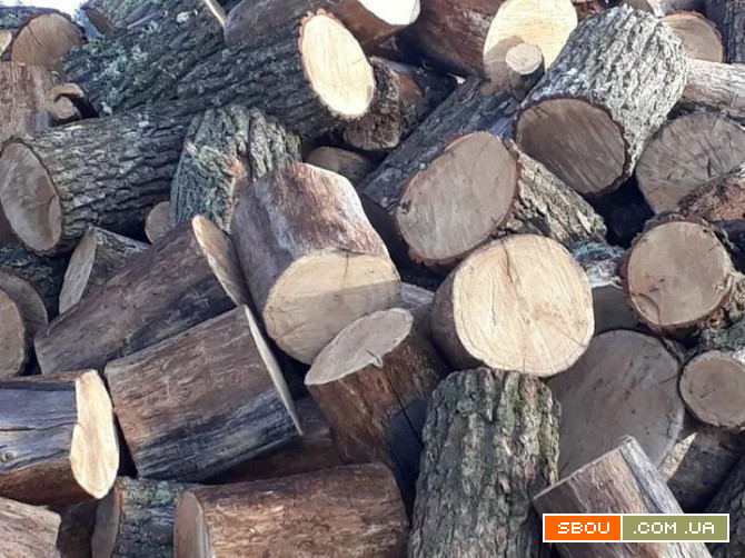 Купити дрова за найкращою ціною в Луцьку Луцьк - изображение 1