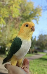 Попугай Каик іграшка валяна з шерсті войлочний папуга ручної роботи пт