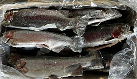 Товары из Европы. Замороженная продукция: Рыба-морепродукты, суповые н