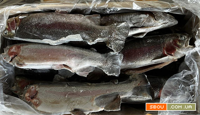 Товары из Европы. Замороженная продукция: Рыба-морепродукты, суповые н Днепропетровск - изображение 1