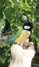 Синичка іграшка валяна з шерсті інтерєрна птица Синица подарунок птах