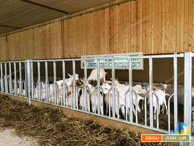 Стійлове обладнання для утримання кіз та овець MetallDreamUA Київ - изображение 1